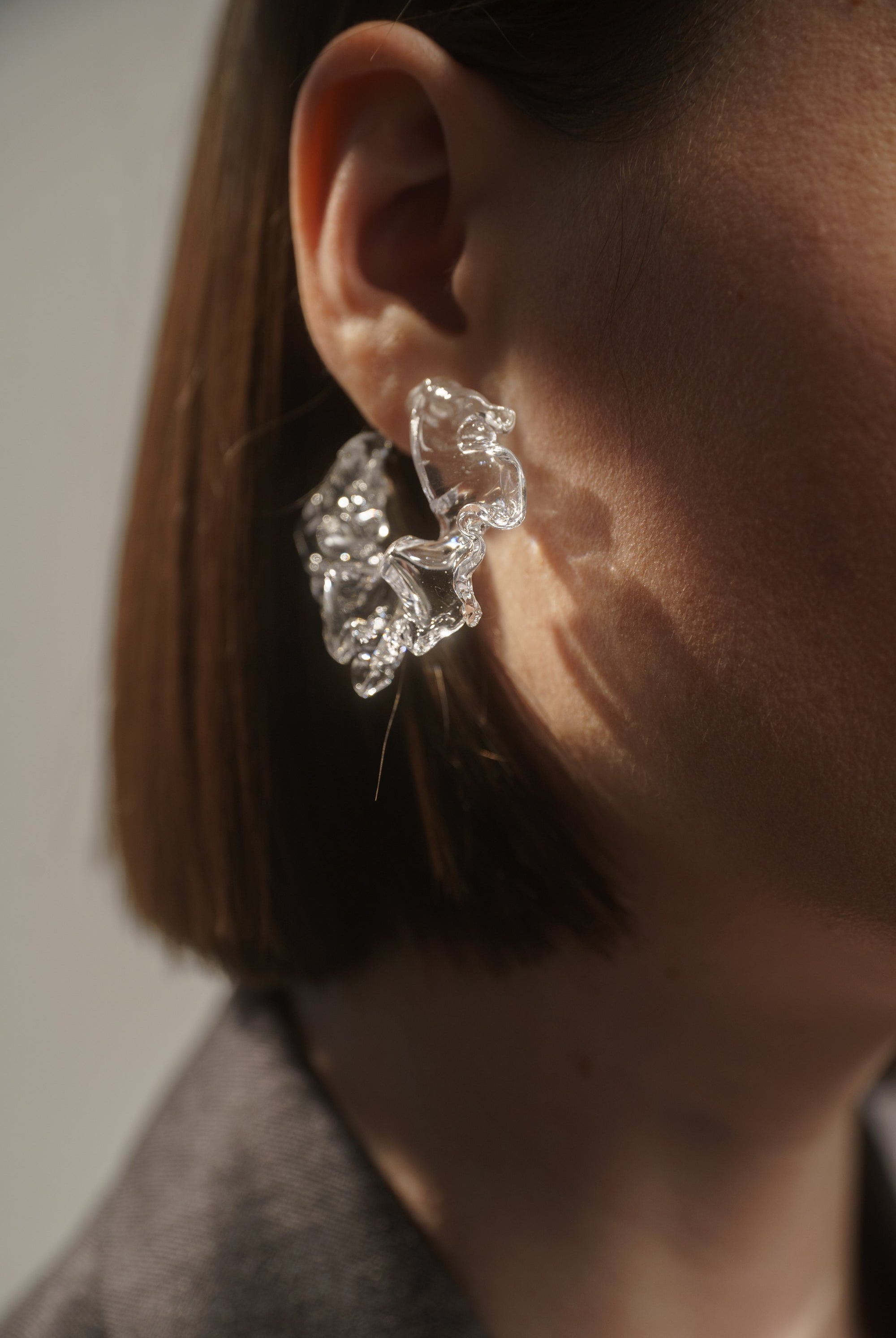 shrimp transparent plexiglass silver components